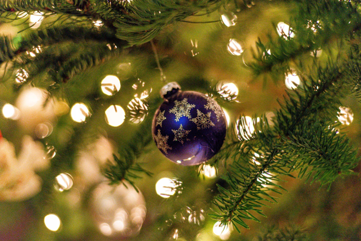 How Flocked Artificial Christmas Trees Can Help Your Vegetable Garden Thrive